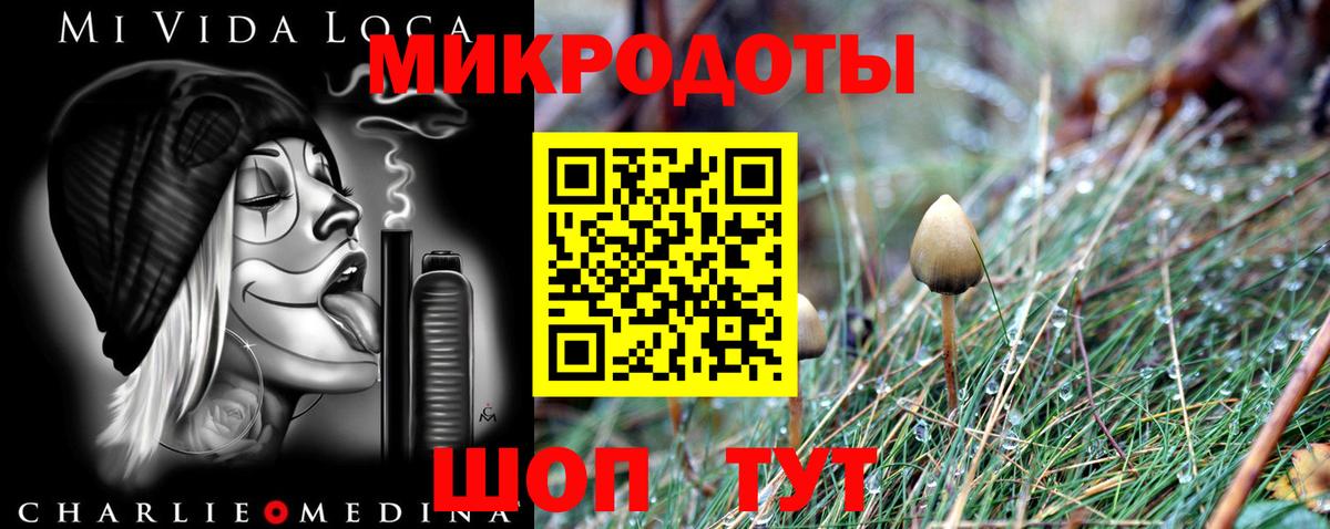 Янаул  Псилоцибиновые грибы GOLDEN TEACHER  Галлюциногенные грибы Psilocybe  Вход с VPN 